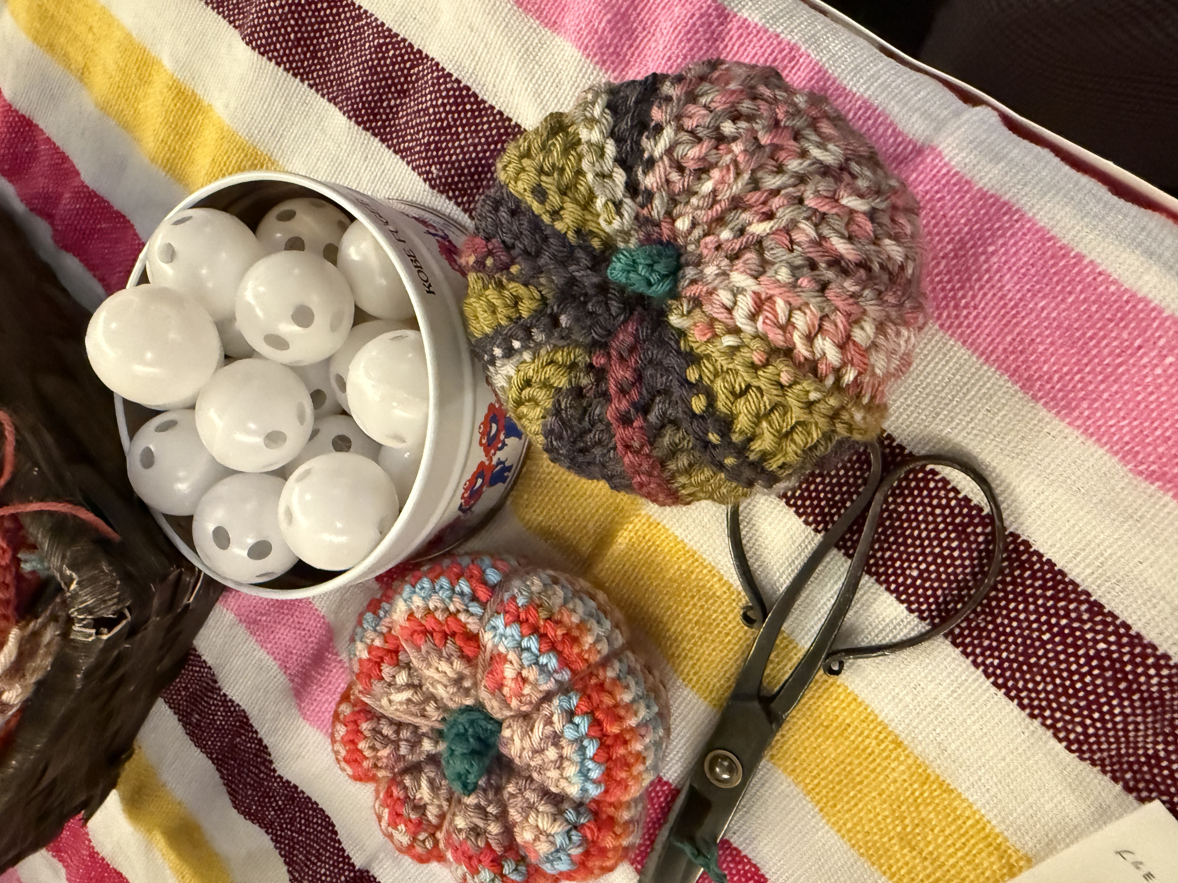 カラフルなかぼちゃたち